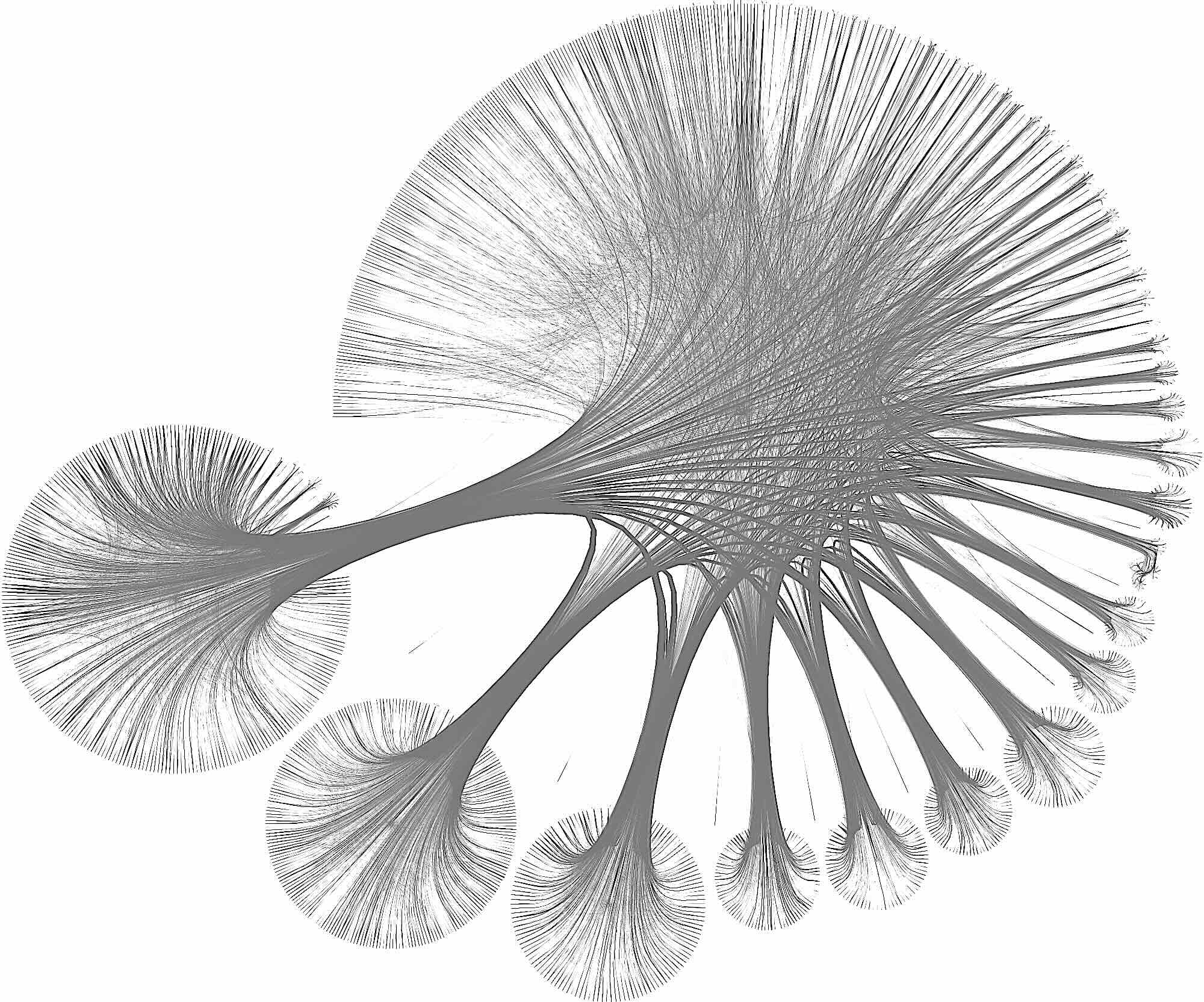 Belgian Fiscal Law KG